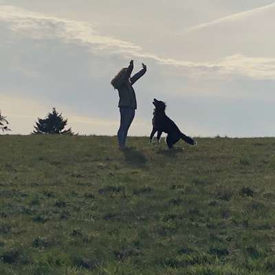 Hundetreffen-Hundetreffen-Profilbild