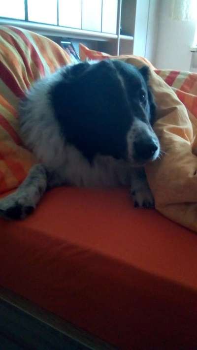 Relaxen im bett-Beitrag-Bild