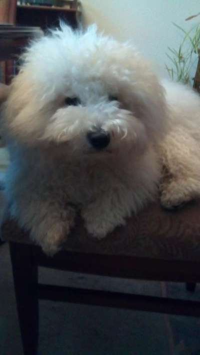 Vor dem Friseur - nach dem Friseur-Beitrag-Bild