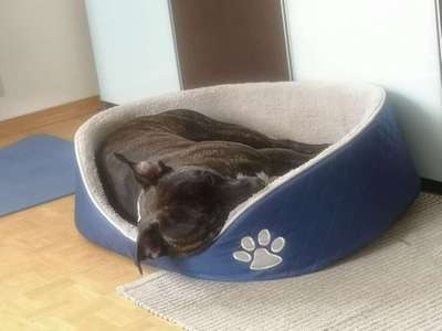 Schlafposition-Beitrag-Bild