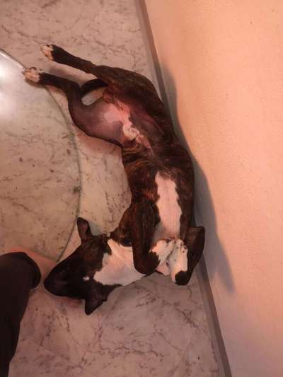 Schlafposition-Beitrag-Bild