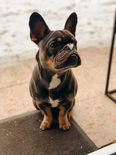 zeigt mal eure schönsten Fotos von euren Lieblingen.-Beitrag-Bild