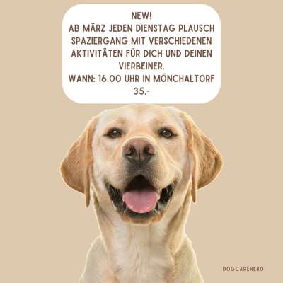 Hundetreffen-Jeden Dienstag ab März Plauschwalk-Bild