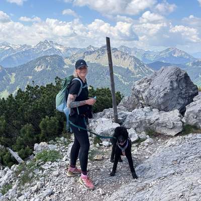 Hundetreffen-Spieltreffen, Gassirunde. Sozialpartner für Kleo gesucht-Bild