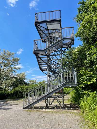 TierschutzhundeStammtisch🐕-Beitrag-Bild