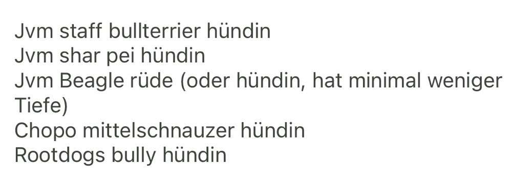 Wie sitzt mein Maulkorb / Maulkorb-Beratung-Beitrag-Bild