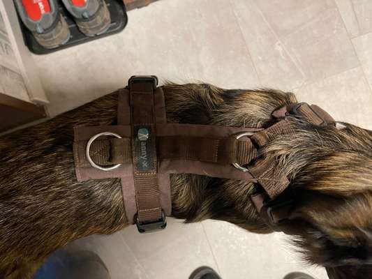 Wie sitzt mein Geschirr?-Beitrag-Bild