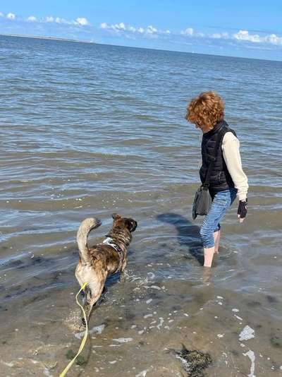 TierschutzhundeStammtisch🐕-Beitrag-Bild