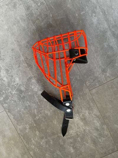 Wie sitzt mein Maulkorb / Maulkorb-Beratung-Beitrag-Bild