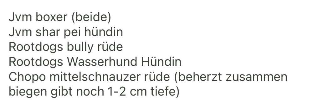 Wie sitzt mein Maulkorb / Maulkorb-Beratung-Beitrag-Bild