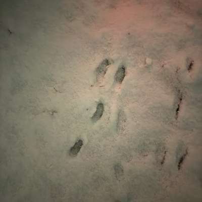 "Wege zur Freundschaft" (Ulli Reichmann)-Beitrag-Bild