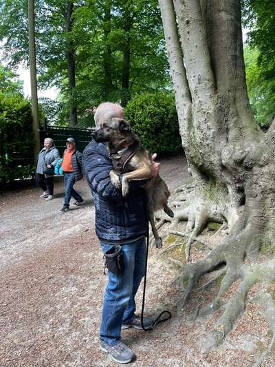 TierschutzhundeStammtisch🐕-Beitrag-Bild
