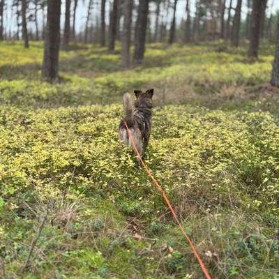 "Wege zur Freundschaft" (Ulli Reichmann)-Beitrag-Bild