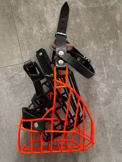 TierschutzhundeStammtisch🐕-Beitrag-Bild