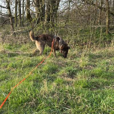 "Wege zur Freundschaft" (Ulli Reichmann)-Beitrag-Bild