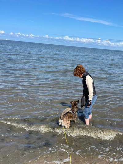 TierschutzhundeStammtisch🐕-Beitrag-Bild