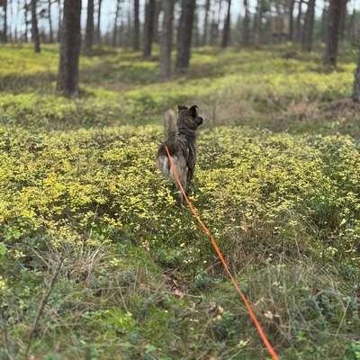 "Wege zur Freundschaft" (Ulli Reichmann)-Beitrag-Bild