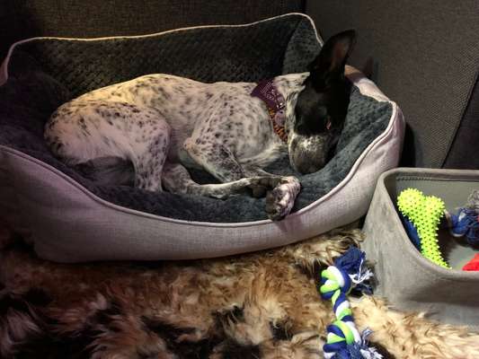 Foto Challenge Nr. 134-Beitrag-Bild