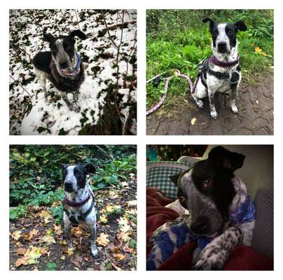 23. Collagen-Challenge: Portraits-Beitrag-Bild