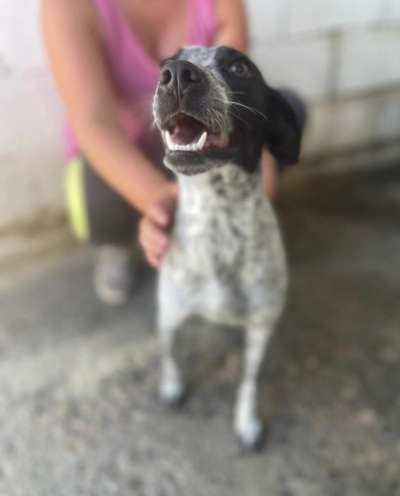 Fotochallenge Nr.122-Beitrag-Bild