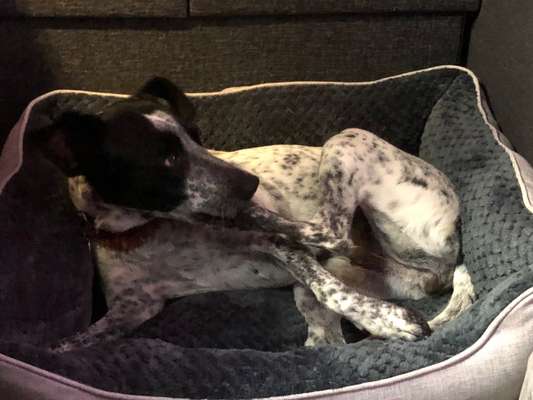 Hier ist der Spaßthread. Zum Schmunzeln und Kaputtlachen-Beitrag-Bild