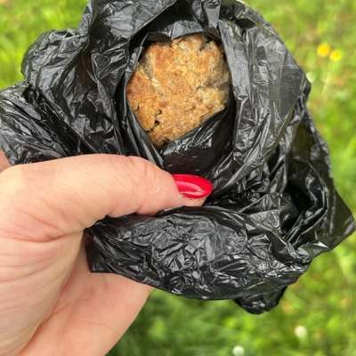 Giftköder-Giftköder "Fleischküchlein"-Bild