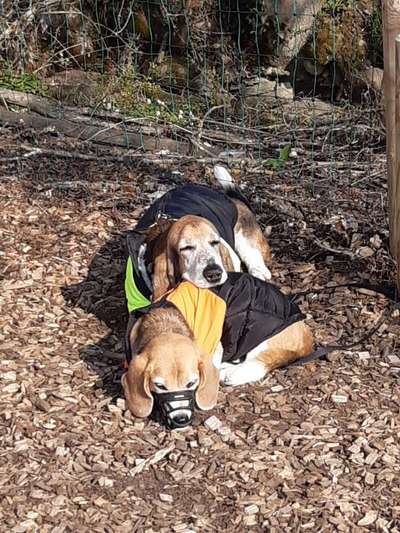 Erfolgsgeschichten gesucht-Beitrag-Bild