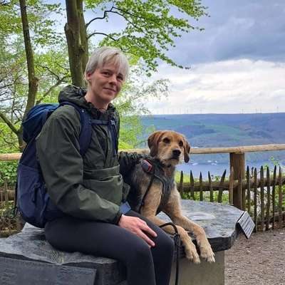 Hundetreffen-Canicross / Outdoorsport-Bild