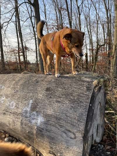 57. Handy Foto Challenge - klettern-Beitrag-Bild