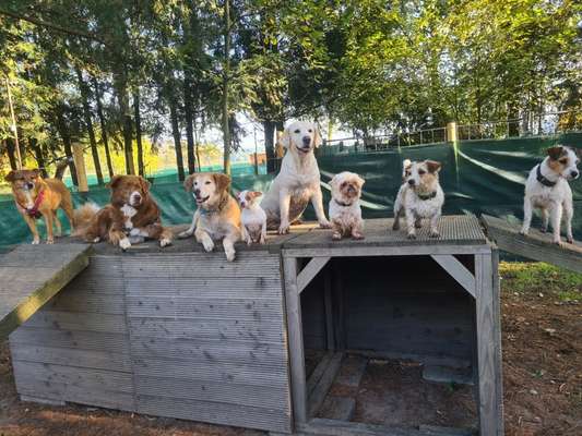 Fotochallenge 69-Beitrag-Bild