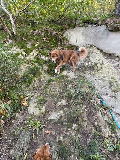 57. Handy Foto Challenge - klettern-Beitrag-Bild