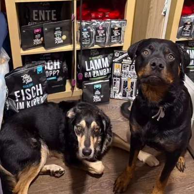 %{de_profession_title}-Tales&Tails Hunde- & Katzenfutter-Bild