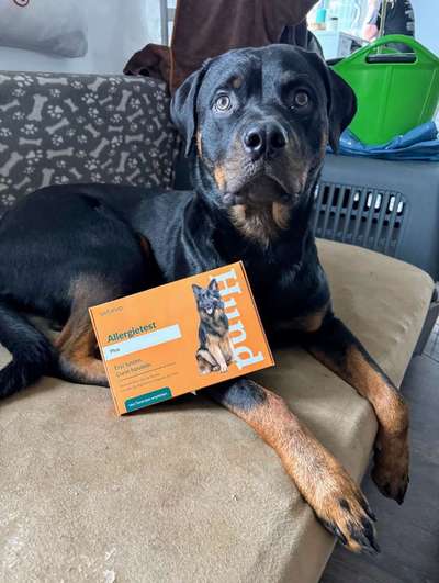 %{de_profession_title}-Vetevo - Hundegesundheit mit Herz-Bild