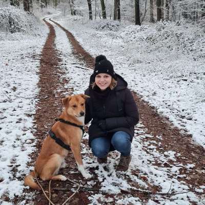 Hundetreffen-Gemeinsames Training oder Spaziergang-Profilbild