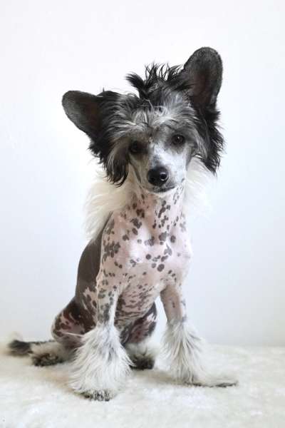 14. Farbenfoto-Challenge "Weiss"-Beitrag-Bild