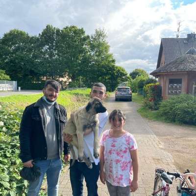 Hundetreffen-Greven-Profilbild