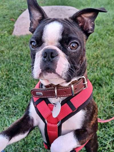 Fotochallange Nr. 57     PORTRÄT.   Beendet!!!!!!!!-Beitrag-Bild