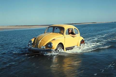 Wie heißt dein Hund?-Beitrag-Bild