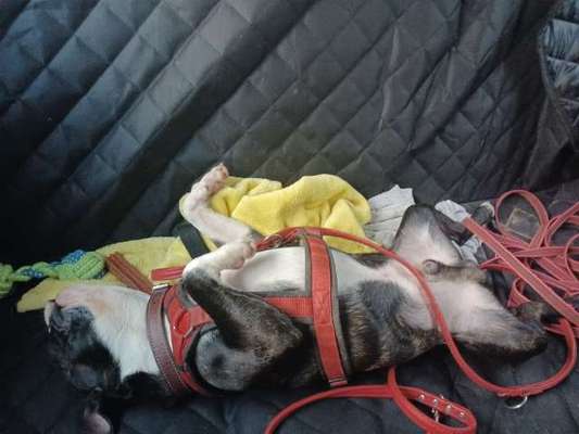 Fotochallenge Nr.65-Beitrag-Bild