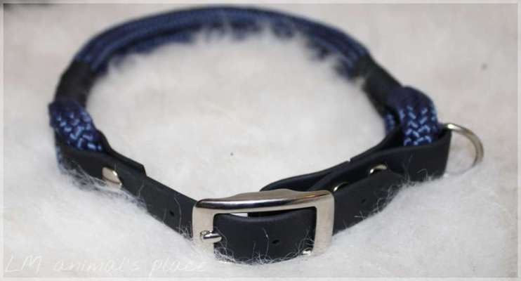 artikel-Beitrag-Bild