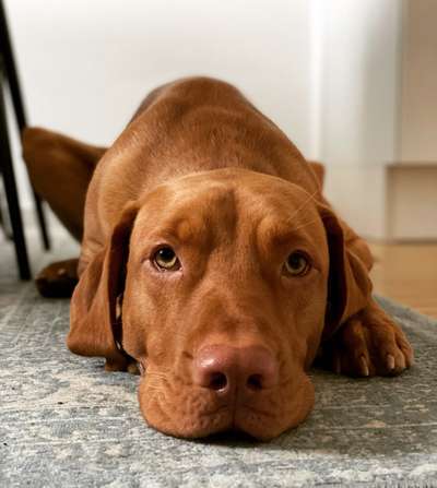 Fotochallange Nr. 57     PORTRÄT.   Beendet!!!!!!!!-Beitrag-Bild