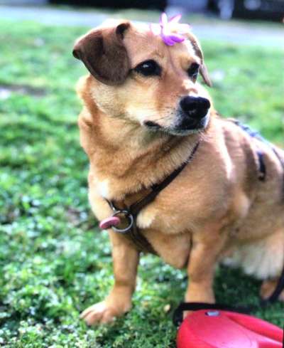 Fotowettbewerb Natur-Beitrag-Bild