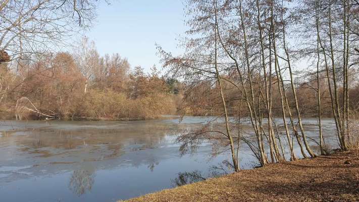 Hundeauslaufgebiet-Klötzebecken-Bild