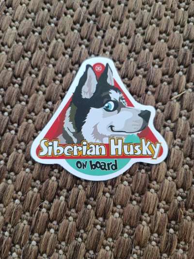 Hundetreffen-Husky sucht Husky-Bild