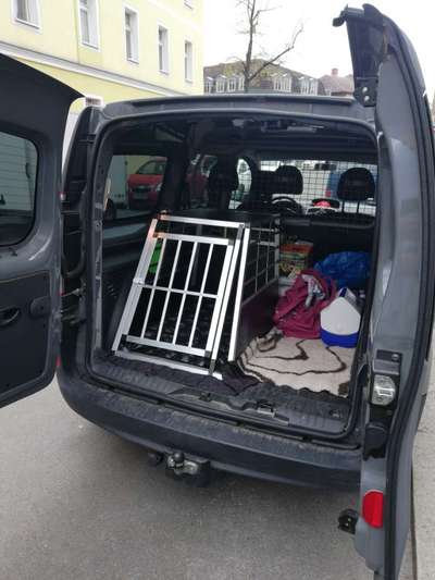 Auto kauf für Hunde-Beitrag-Bild