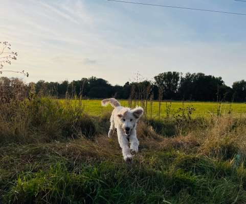 Fotochallenge Nr. 52 „Spring!“-Beitrag-Bild