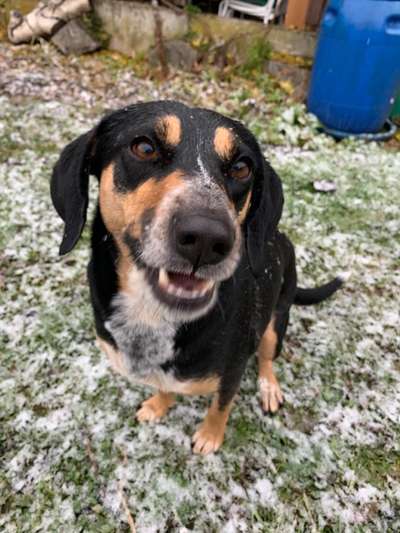 Fotochallange Nr. 57     PORTRÄT.   Beendet!!!!!!!!-Beitrag-Bild