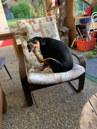 Her mit dem Grimassen-Beitrag-Bild