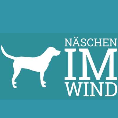 Gassi-Services-"Näschen im Wind" Gassi-Service Lemgo-Bild