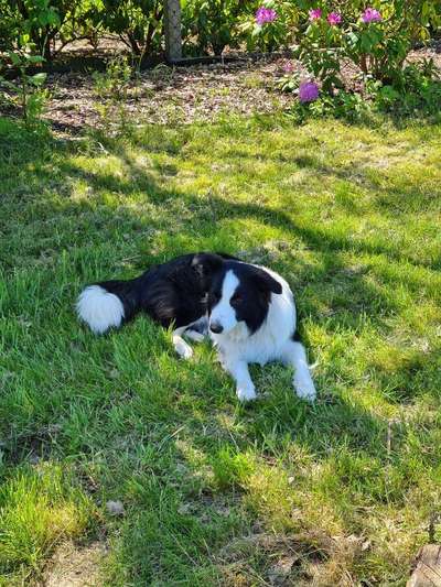 Fotochallenge 78

Es grünt und blüht-Beitrag-Bild